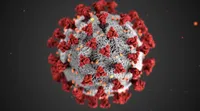 New pandemic in 2026?